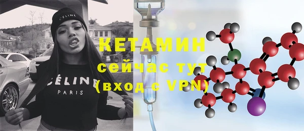 шишки Беломорск