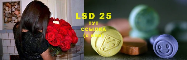 spice Белокуриха