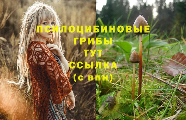 амф Белоозёрский