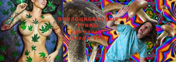 шишки Беломорск