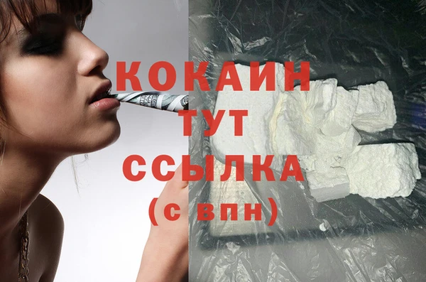 spice Белокуриха
