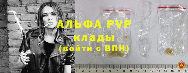 шишки Беломорск