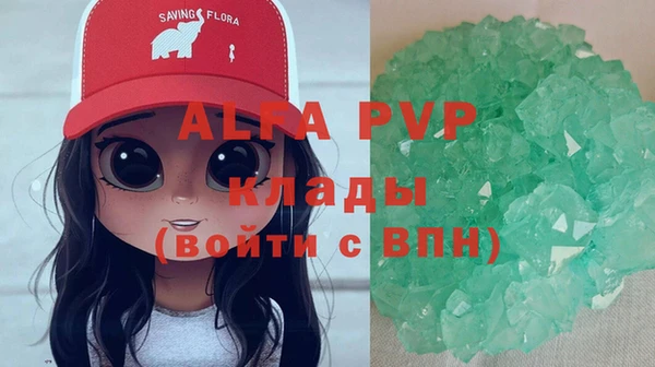 шишки Беломорск