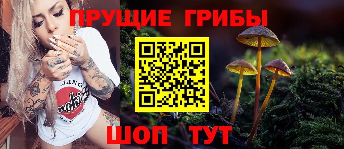 Галлюциногенные грибы Psilocybe  Галлюциногенные грибы GOLDEN TEACHER  Бутурлиновка  Вход с VPN 