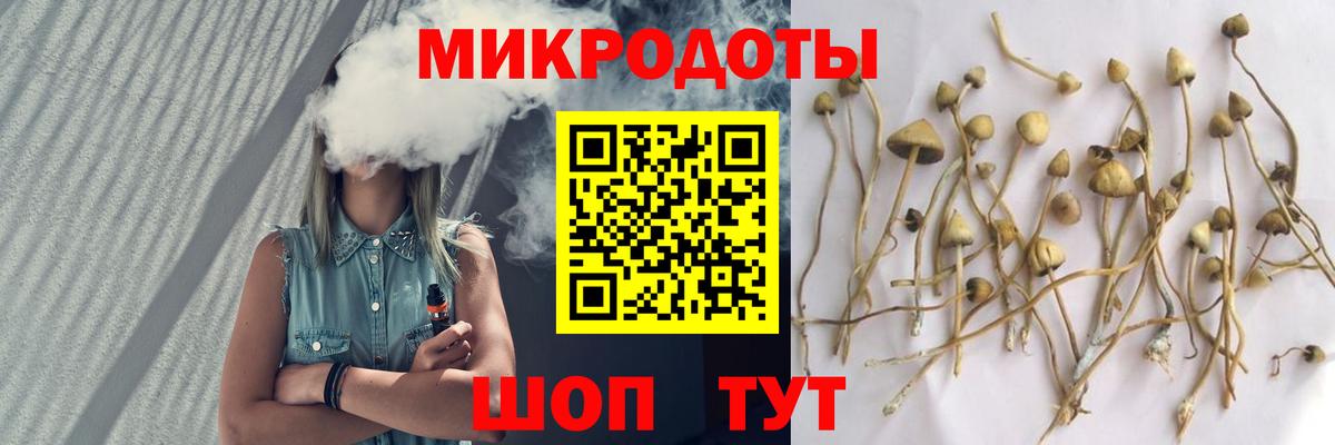 Галлюциногенные грибы мицелий Бутурлиновка