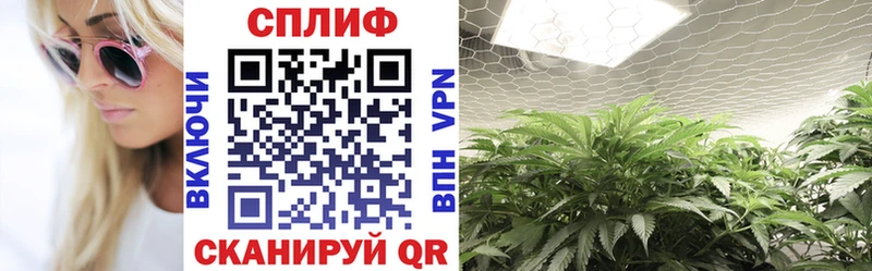 маркетплейс официальный сайт  Бутурлиновка  МАРИХУАНА SATIVA & INDICA 